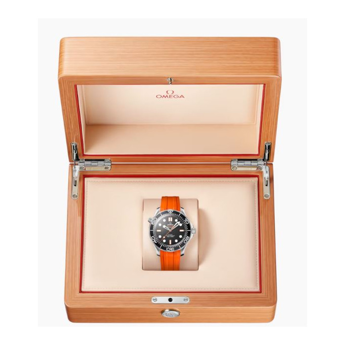 271698_01_Omega_Seamaster_Co-Axial_Diver_300M_O21032422001006_Juwelier_Clem_Vercammen-7.jpg