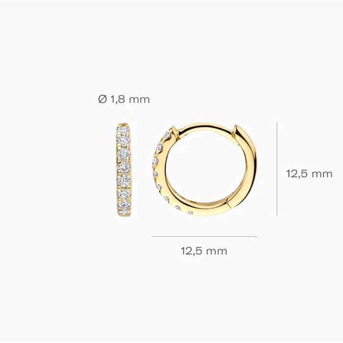 Juweel BLUSH LAB GROWN OORSTEKERS 14K GEELGOUD LG DIAMONDS LG7029Y 