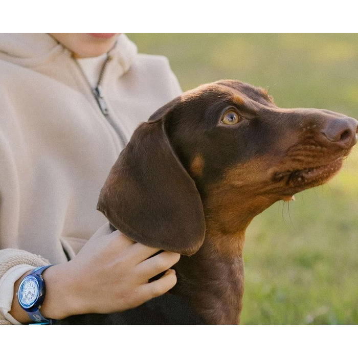 Horloge FLIK FLAK CUTIE PUPPY FBNP237 
