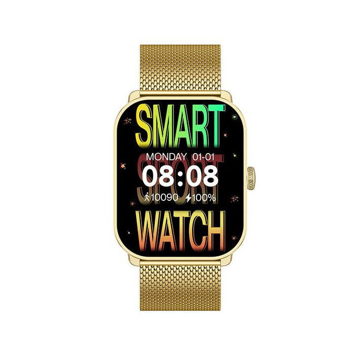 Horloge SMARTY 2.0 KST GD. BND GD. MESH ZW.SIL. SW070L GOLD 