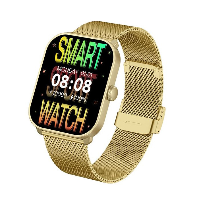 Horloge SMARTY 2.0 KST GD. BND GD. MESH ZW.SIL. SW070L GOLD 