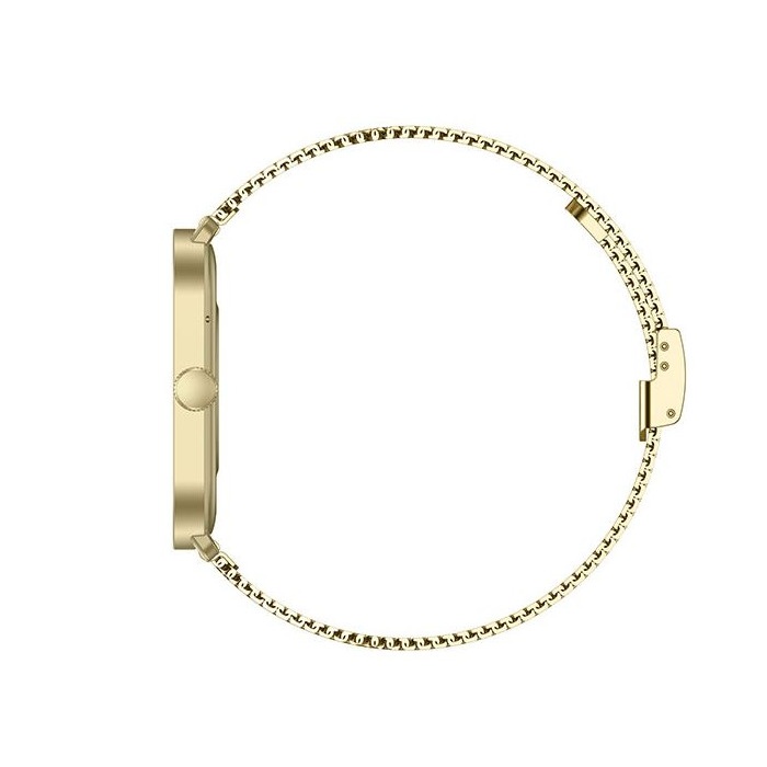 Horloge SMARTY 2.0 KST GD. BND GD. MESH ZW.SIL. SW070L GOLD 