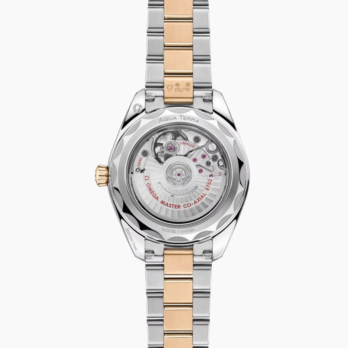272815_01_Omega_Seamaster_Aqua_Terra_22025302055001_Juwelier_Clem_Vercammen-2.jpg