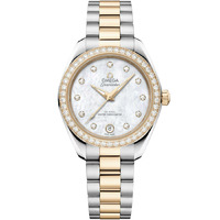 Horloge OMEGA SEAMASTER AQUA TERRA 150M 220.25.30.20.55.001 Horloge OMEGA SEAMASTER AQUA TERRA 150M 220.25.30.20.55.001