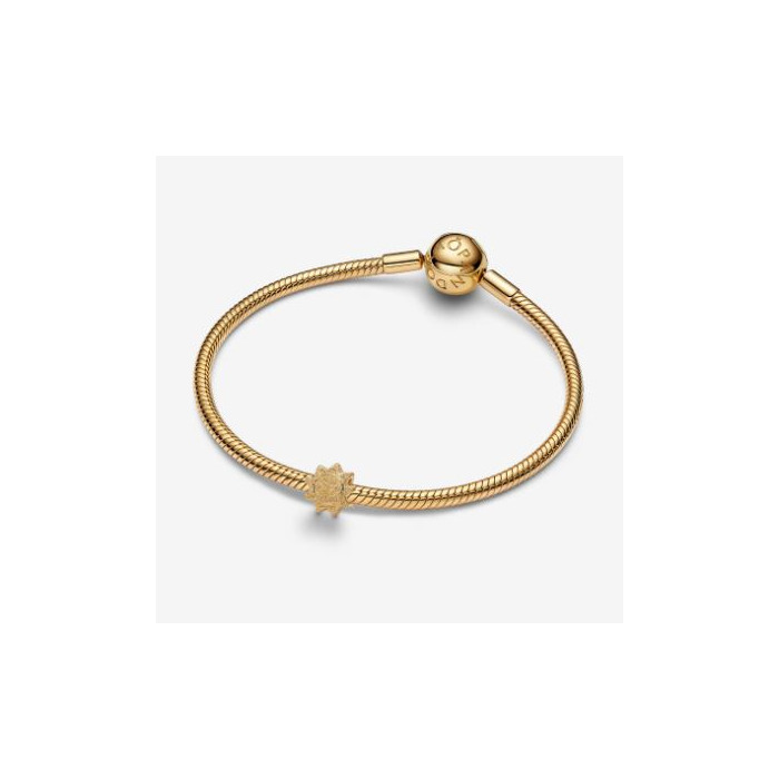 Juweel PANDORA TEXTURED SUN 764052C00 88888