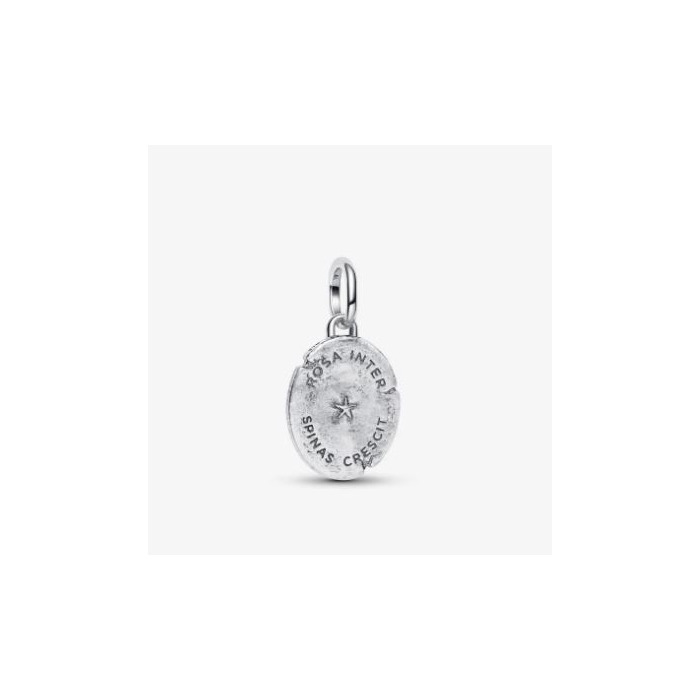 Juweel PANDORA ROSE MEDAILLON 764087C00 