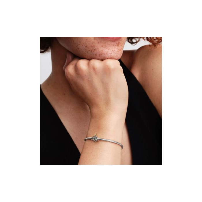 273318_01_Pandora_Christmas_Tree_764248C01_Juwelier_Clem_Vercammen-3.jpg