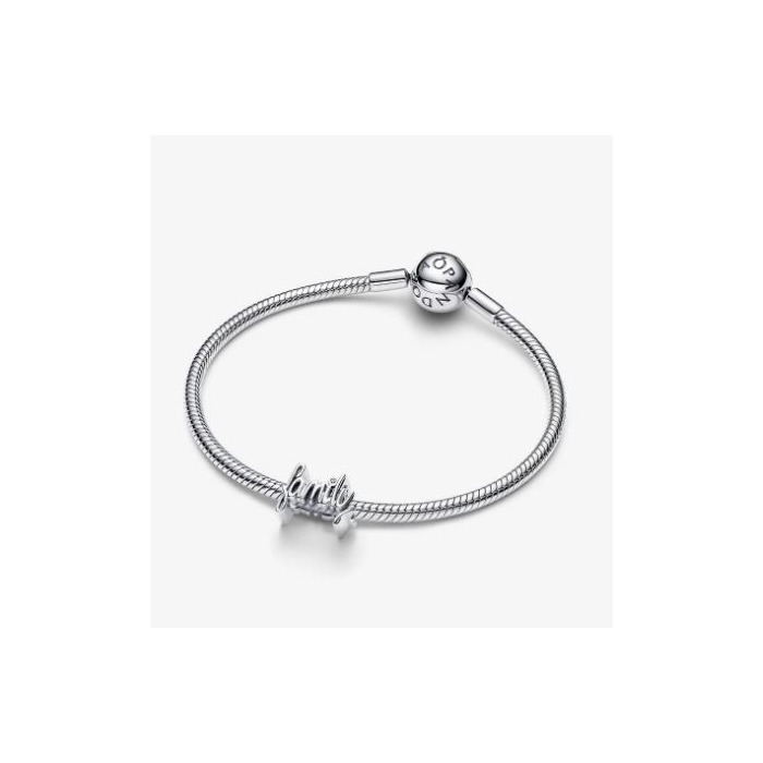 273330_01_Pandora_Family_794250C01_Juwelier_Clem_Vercammen-4.jpg