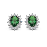 Juweel Naiomy oorstekers N3U56 Juweel Naiomy oorstekers N3U56