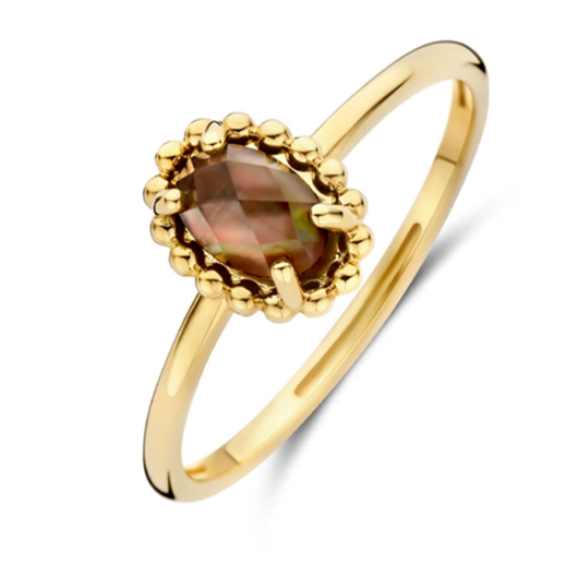 Juweel BLUSH RING 14 KARAAT GEELGOUD 1272YBQ Juweel BLUSH RING 14 KARAAT GEELGOUD 1272YBQ