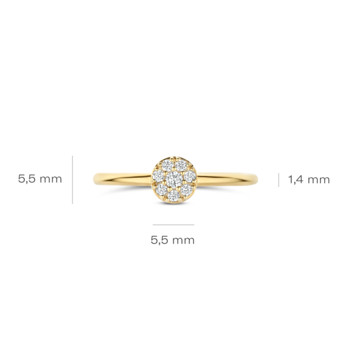 273537_01_Blush_Ring_14K_Geelgoud_1277YZI_Juwelier_Clem_Vercammen-6.png