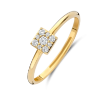 Juweel BLUSH RING 14 KARAAT GEELGOUD 1278YZI Juweel BLUSH RING 14 KARAAT GEELGOUD 1278YZI