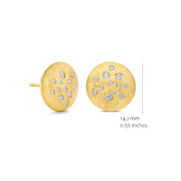 Juweel Silver Rose Oorstekers EA2569GB Juweel Silver Rose Oorstekers EA2569GB