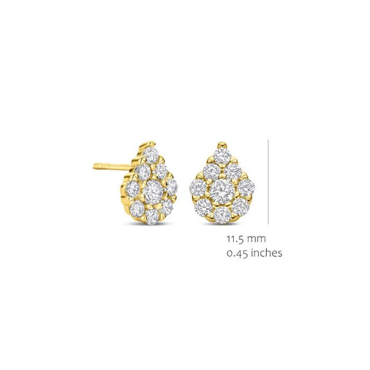 Juweel Silver Rose Oorstekers EA2578G-1 Juweel Silver Rose Oorstekers EA2578G-1