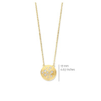 Juweel Silver Rose COLLIER P25669GB Juweel Silver Rose COLLIER P25669GB