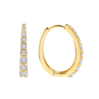 Juweel BLUSH OORBELLEN 14 KARAAT 7342YZI Juweel BLUSH OORBELLEN 14 KARAAT 7342YZI