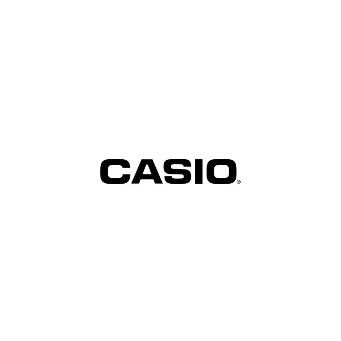 274269_01_Logo_Casio.jpg