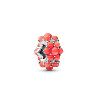 Juweel PANDORA CHARM 793897C01 Juweel PANDORA CHARM 793897C01