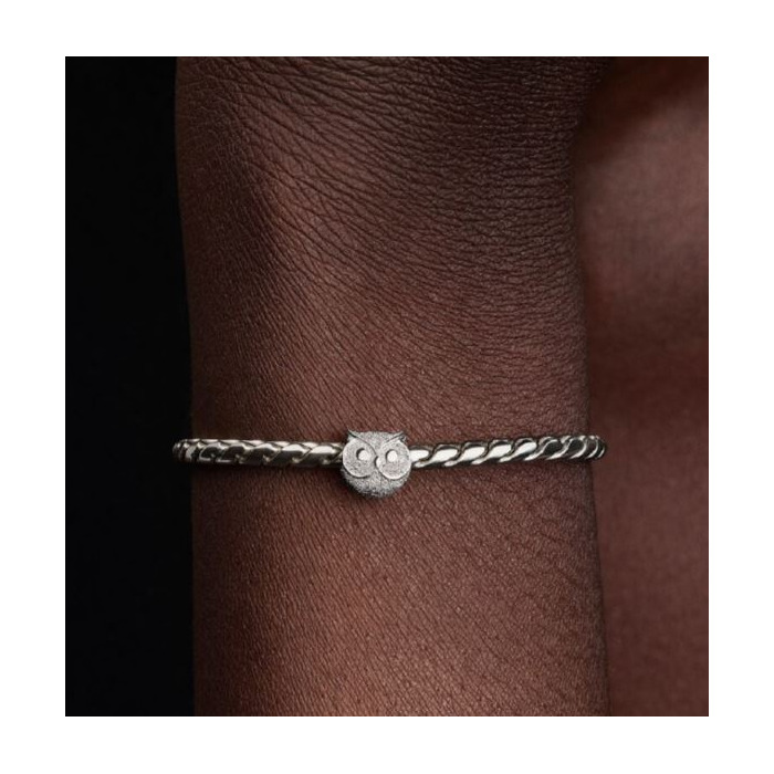 274896_01_Pandora_Textured_Owl_794525C00_Juwelier_Clem_Vercammen-2.jpg