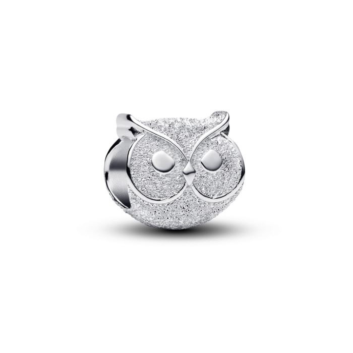 274896_01_Pandora_Textured_Owl_794525C00_Juwelier_Clem_Vercammen.jpg