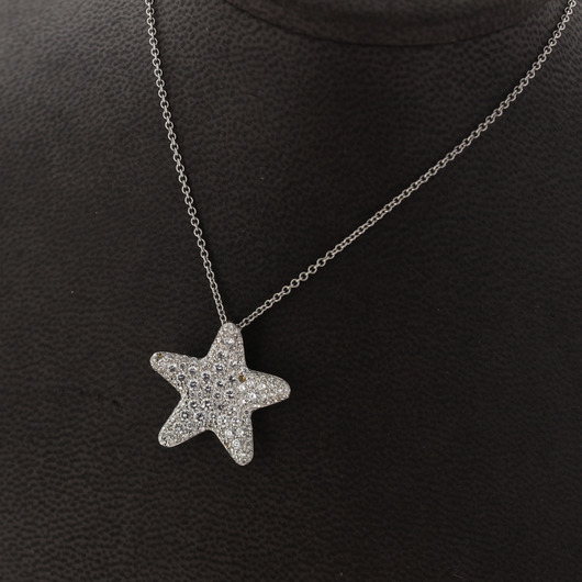 Juweel Pasquale Bruni ketting 18 karaat witgoud '98804-3034-TWDH' Juweel Pasquale Bruni ketting 18 karaat witgoud '98804-3034-TWDH'