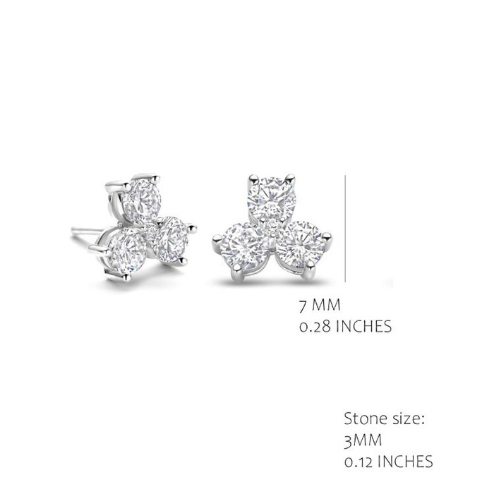 275250 01 Silver Rose Oorstekers EA2543W-S Juwelier Clem Vercammen.jpg