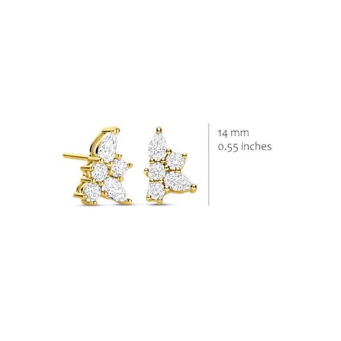 275253 01 Silver Rose Oorstekers EA2638GZ Juwelier Clem Vercammen.jpg