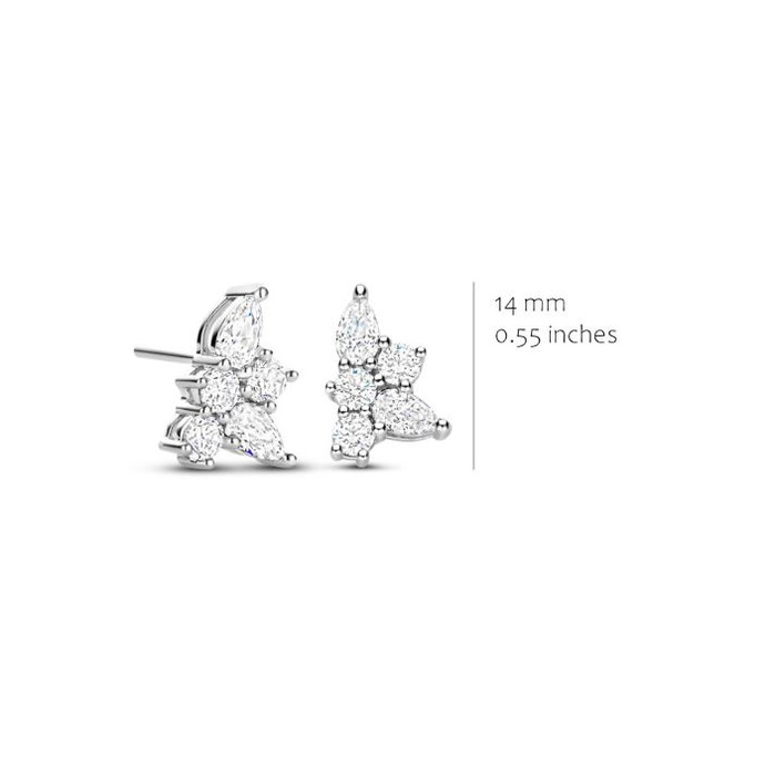 275254 01 Silver Rose Oorstekers EA2638WZ Juwelier Clem Vercammen.jpg