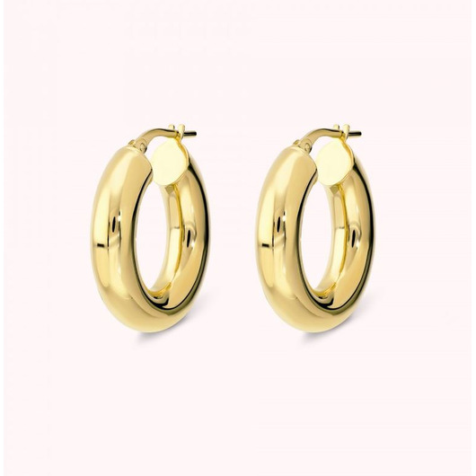 Juweel BRONZALLURE OVAL HOOP EARRINGS WSBZ02646Y.YG Juweel BRONZALLURE OVAL HOOP EARRINGS WSBZ02646Y.YG