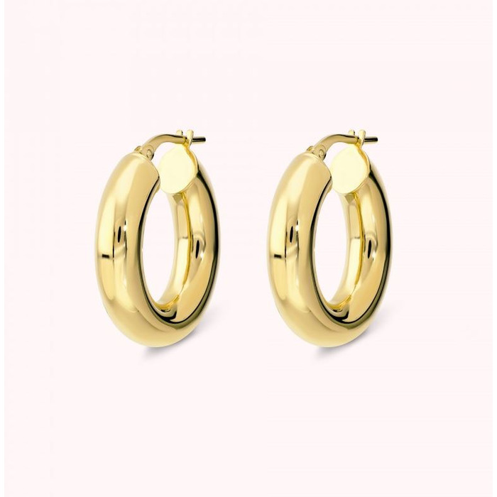 275282 01 Bronzallure Oval Hoop Earrings WSBZ02646Y-YG Juwelier Clem Vercammen.jpg