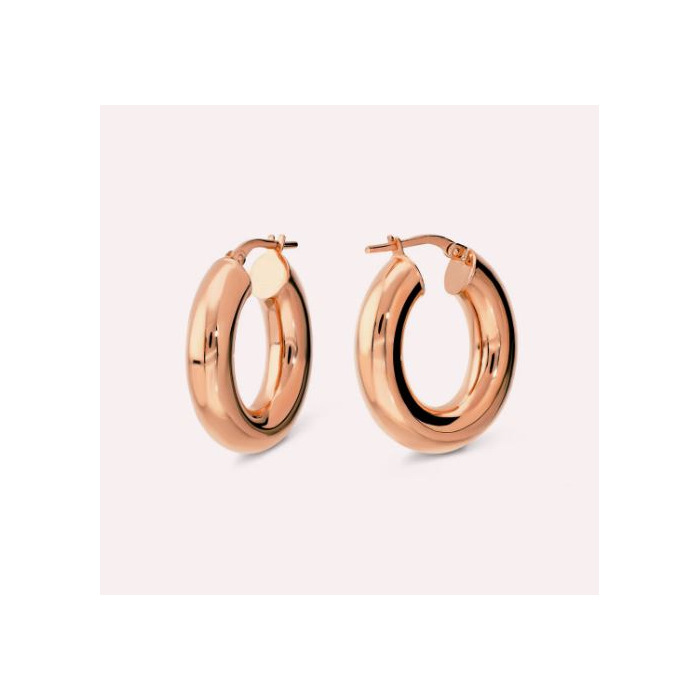275278 01 Bronzallure Oval Hoop Earrings WSBZ02646-R Juwelier Clem Vercammen.jpg