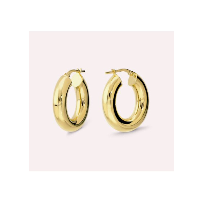 275282 01 Bronzallure Oval Hoop Earrings WSBZ02646Y-YG Juwelier Clem Vercammen.jpg