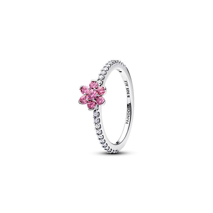 275886 01 Pandora Flower Ring 194499C02 Juwelier Clem Vercammen.jpg