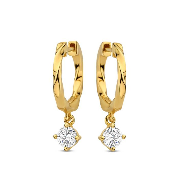 276012 01 Naiomy Oorstekers N5N66 Juwelier Clem Vercammen.jpg