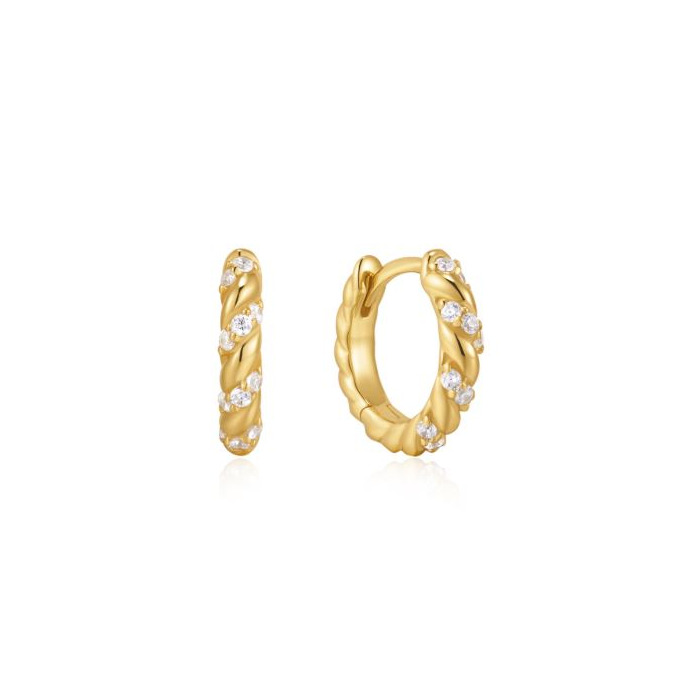 276771 01 Ania Haie Luna Gaze Twisted Huggie Hoop Earrings E075-07G Juwelier Clem Vercammen.jpg