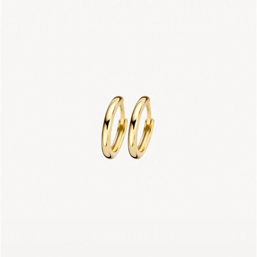 Juweel BLUSH OORBELLEN 14K 7232YGO Juweel BLUSH OORBELLEN 14K 7232YGO