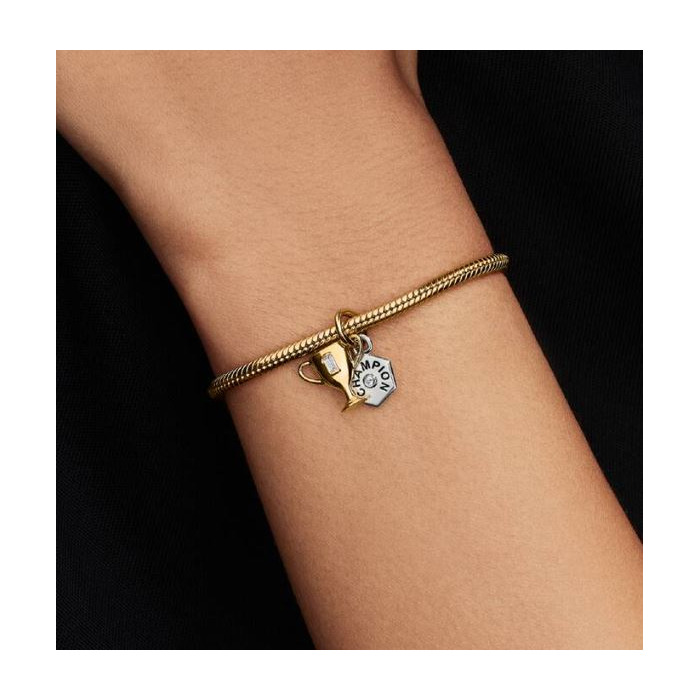 276532 01 Pandora Engravable Trophy 764715C01 Juwelier Clem Vercammen.jpg