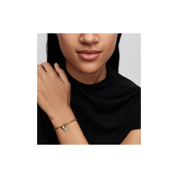 276532 01 Pandora Engravable Trophy 764715C01 Juwelier Clem Vercammen.jpg