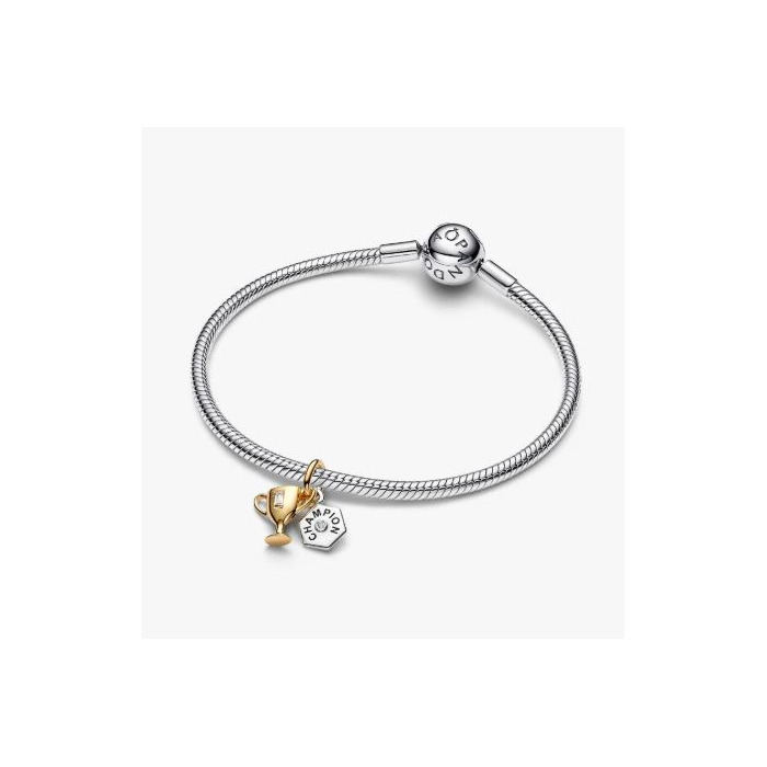 276532 01 Pandora Engravable Trophy 764715C01 Juwelier Clem Vercammen.jpg