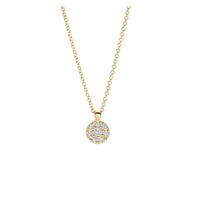 Juweel BLUSH COLLIER 14 KARAAT GEELGOUD 3206YZI Juweel BLUSH COLLIER 14 KARAAT GEELGOUD 3206YZI