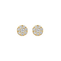 Juweel BLUSH OORRINGEN 14K GOUD 7396YZI Juweel BLUSH OORRINGEN 14K GOUD 7396YZI