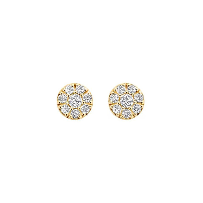 276940 01 Blush Oorringen 7396YZI Juwelier Clem Vercammen.jpg