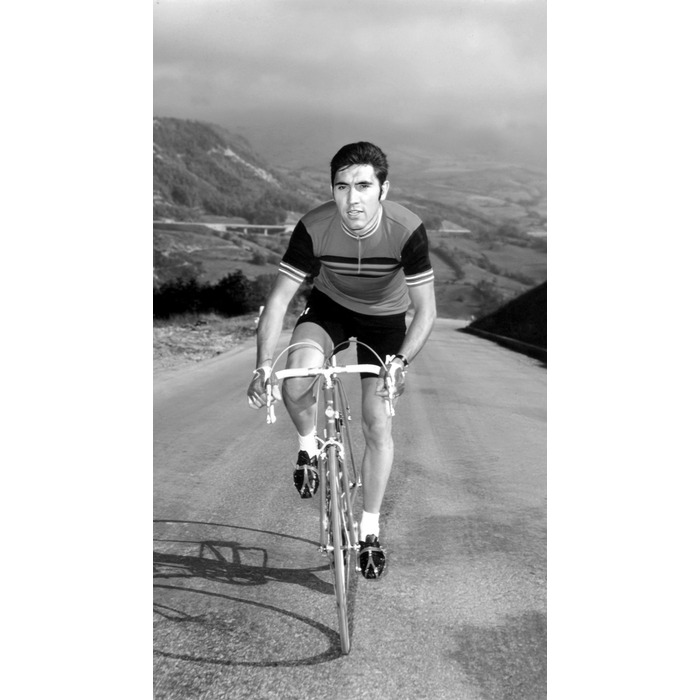 Breitling AB01762C1I1A1 Top Time B01 Chronograph 41 Eddy Merckx.jpg