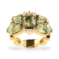 Juweel Brusi ring AA2569GD Juweel Brusi ring AA2569GD