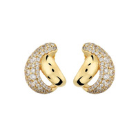 Juweel BRONZALLURE Altissima EARRINGS WSBZ02615.WR Juweel BRONZALLURE Altissima EARRINGS WSBZ02615.WR