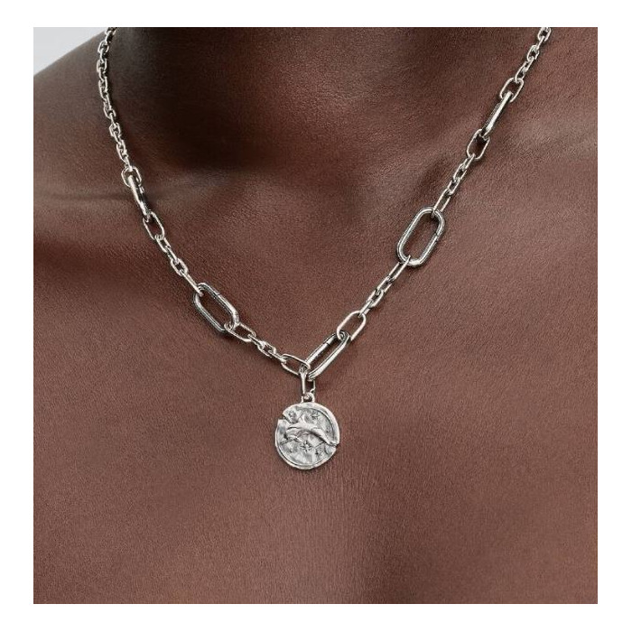 277883 01 Pandora Dolphin Medaillon 794807C01 Juwelier Clem Vercammen.jpg