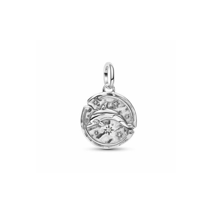 277883 01 Pandora Dolphin Medaillon 794807C01 Juwelier Clem Vercammen.jpg