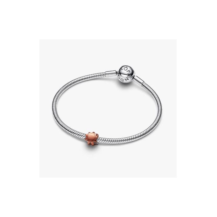 277885 01 Pandora Sun 794818C01 Juwelier Clem Vercammen.jpg