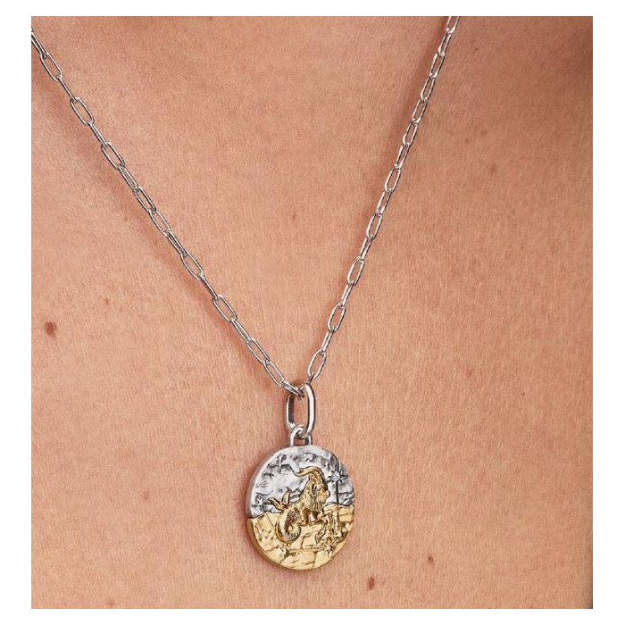 277889 01 Pandora Capricornus Medaillon 764987C01 Juwelier Clem Vercammen.jpg