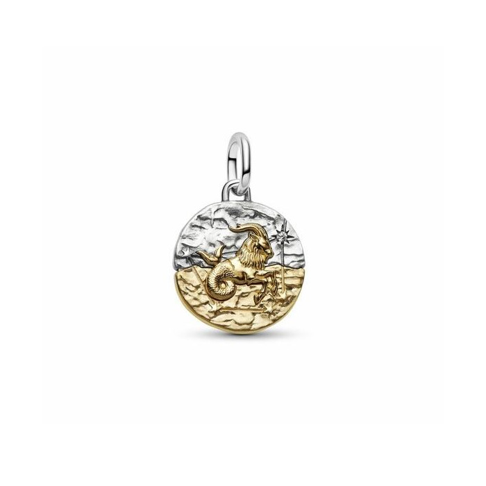 277889 01 Pandora Capricornus Medaillon 764987C01 Juwelier Clem Vercammen.jpg